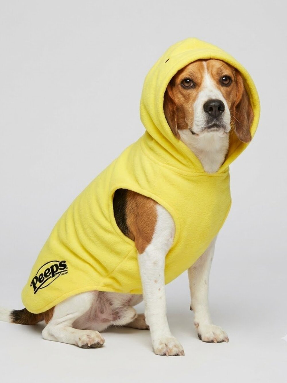 Bright Yellow peeps costume - medium
